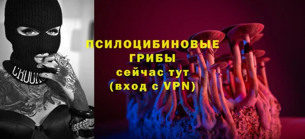 прущая мука Козловка