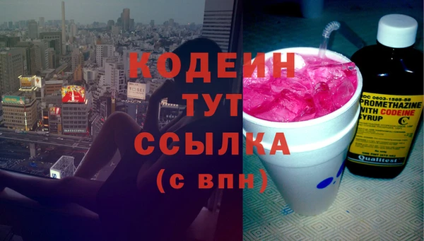крисы Кодинск