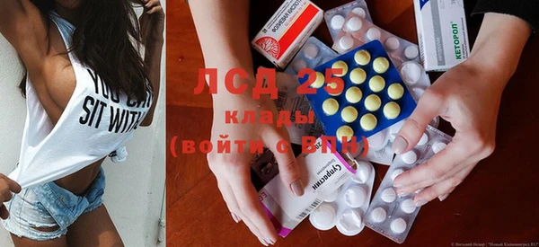 крисы Кодинск